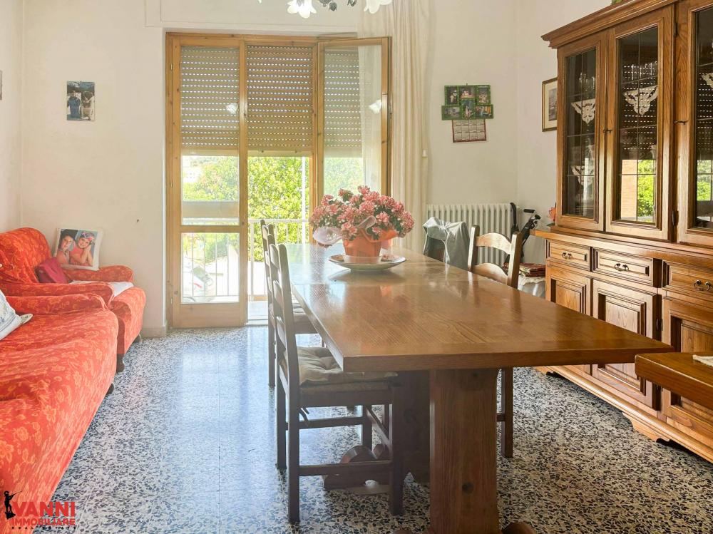 CECINA ZONA PALAZZACCIO